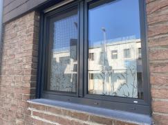 Doppel-Fenster in anthrazit 