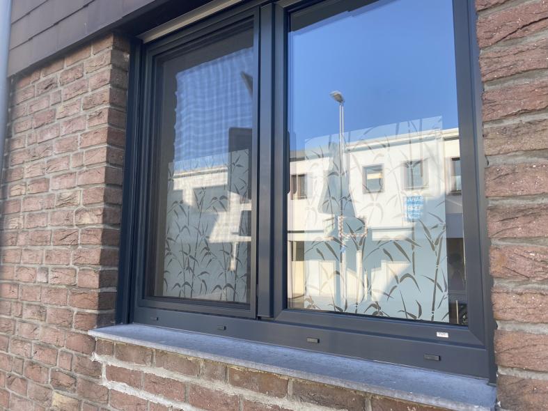 Doppel-Fenster in anthrazit